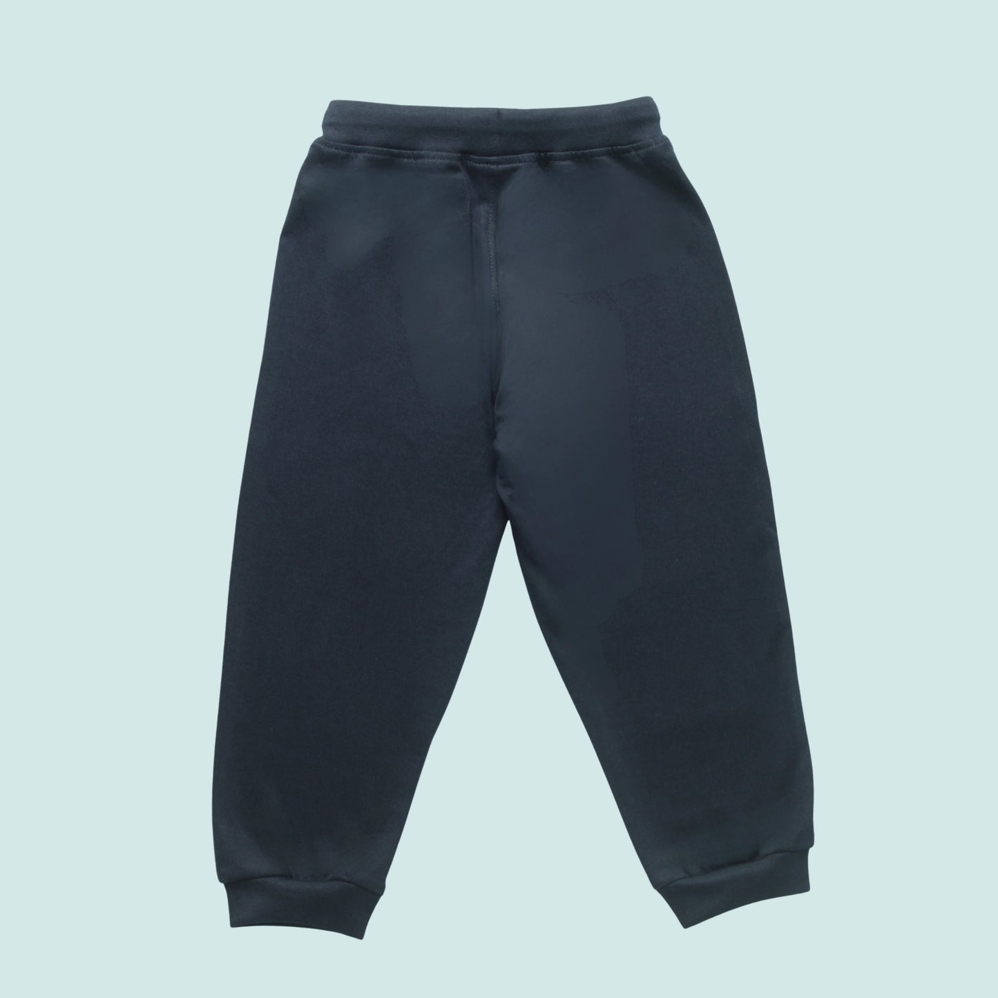 Boys Cotton Joggers with Animal Print & Tape Detailing (Set of 2) – Navy, Teal Green | Littleseeds™ Kidswear