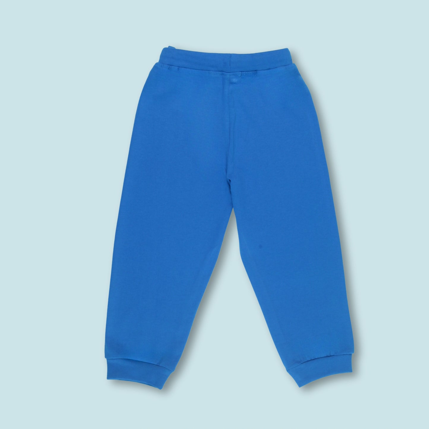 Boys Cotton Joggers with Animal Print & Tape Detailing (Set of 2) – Teal Green, Royal Blue | Littleseeds™ Kidswear