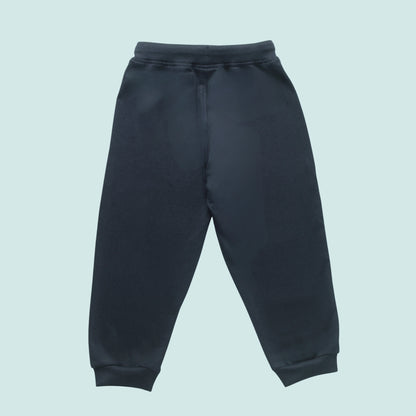 Boys Cotton Joggers with Animal Print & Tape Detailing (Set of 2) – Navy, Teal Green | Littleseeds™ Kidswear