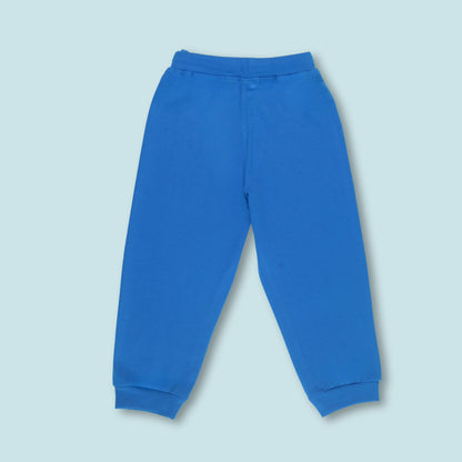 Boys Cotton Joggers with Animal Print & Tape Detailing (Set of 2) – Teal Green, Royal Blue | Littleseeds™ Kidswear